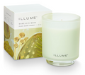 Borealis Moss Reed Diffuser