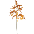 Changing Leaves Pick
