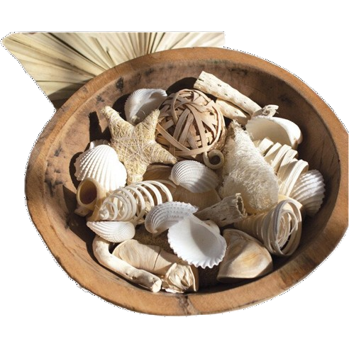 Coastal Vase Filler