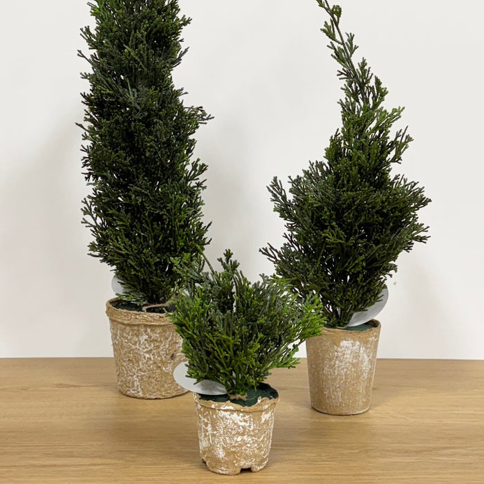 Evergreen Topiary