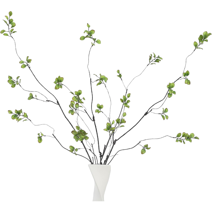 Faux Ficus Pick