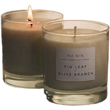 Fig Leaf + Olive Branch Candle - Na Nin