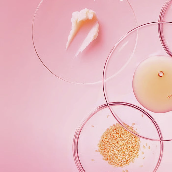 Krém na ruce Krém na ruce Pink Peach 50 ml Weleda fotografie č. 2