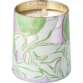 Summer Vine Candle - Illume