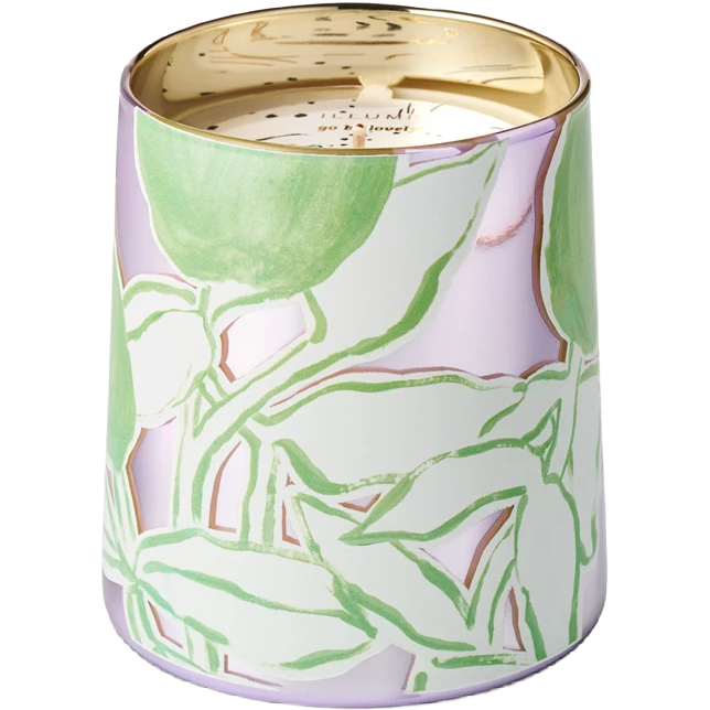 Summer Vine Candle - Illume