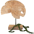 Teak Shell