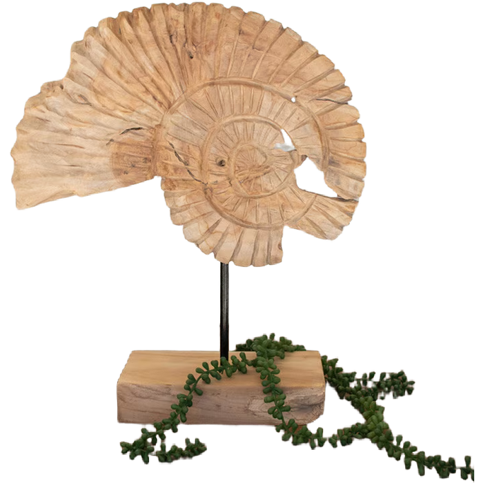 Teak Shell
