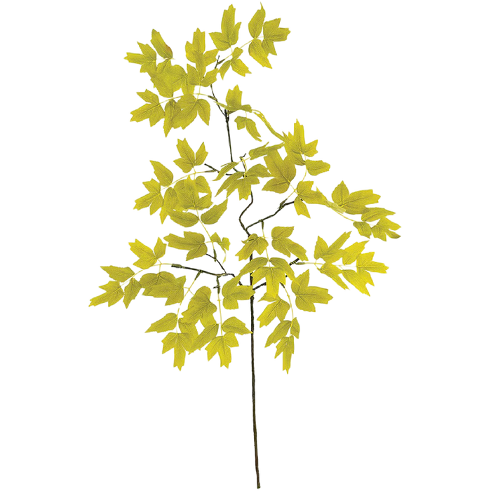 Yellow Green Leaf Pick